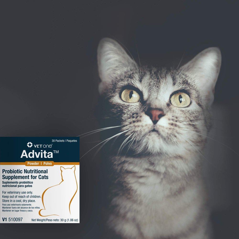 Vitamin-rich Advita formula includes A, E, C for skin and immune support.