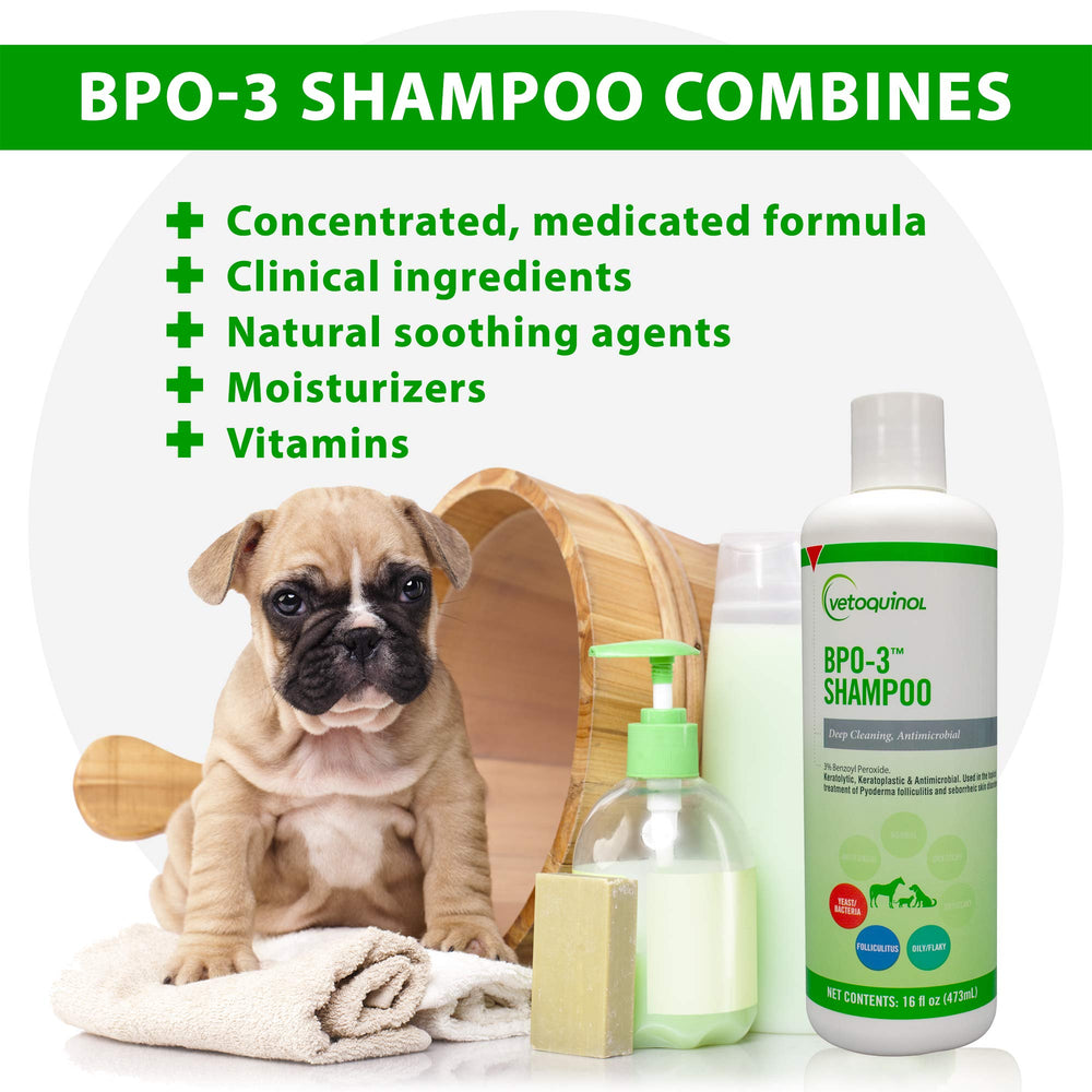 Vetoquinol BPO-3 Shampoo foamy lather on a pet coat demonstrates deep cleansing action.