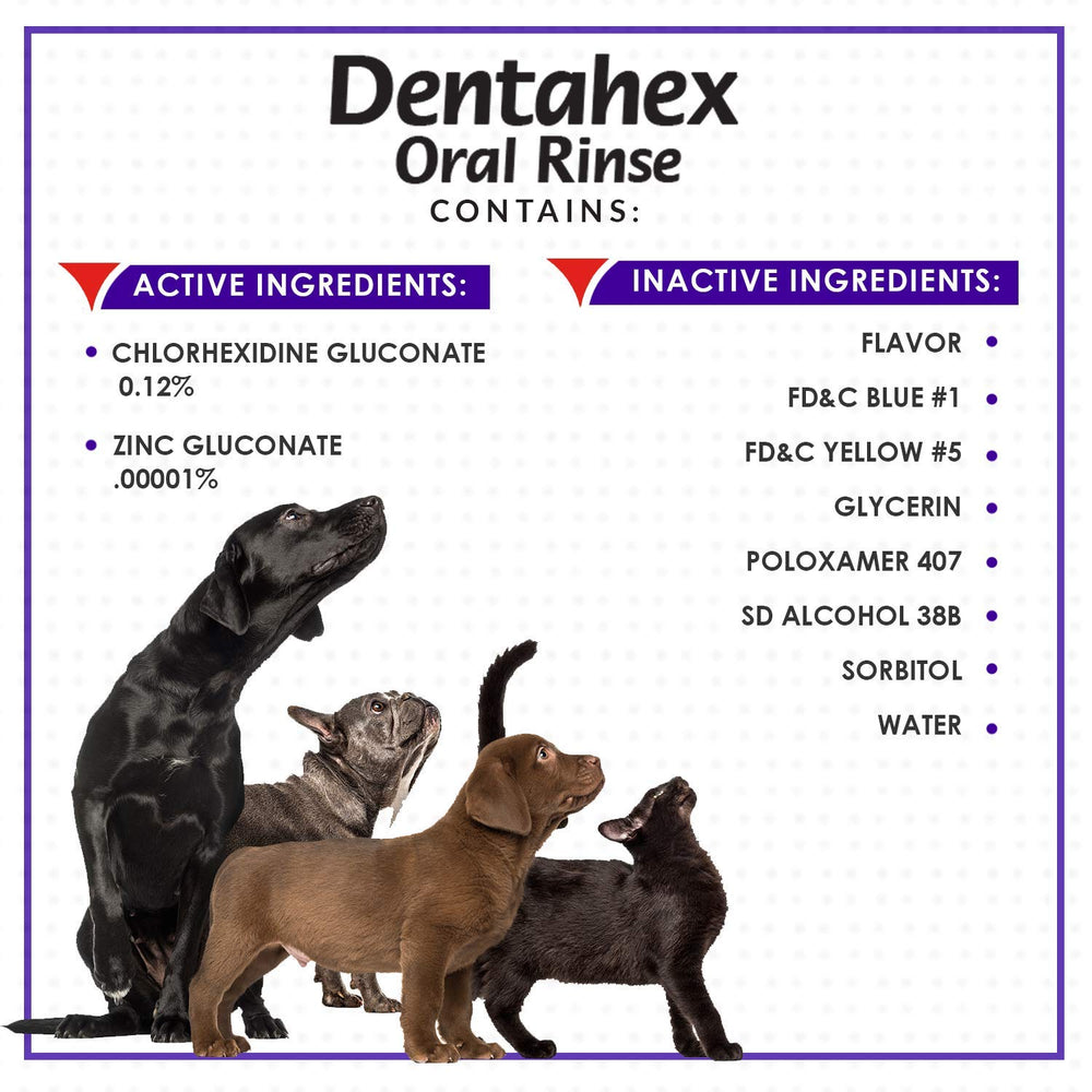 Vetoquinol Dentahex spray application used on a pet.