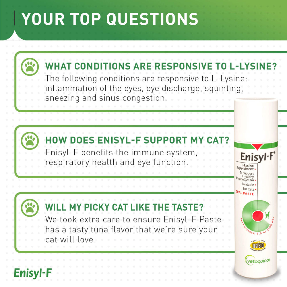 Vetoquinol Enisyl-F lysine paste supporting eye and respiratory health