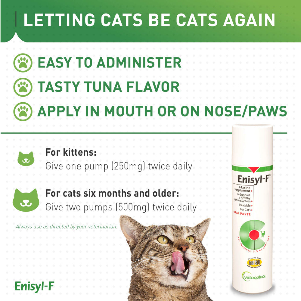 Vetoquinol Enisyl-F kitten-friendly lysine supplement for growing cats