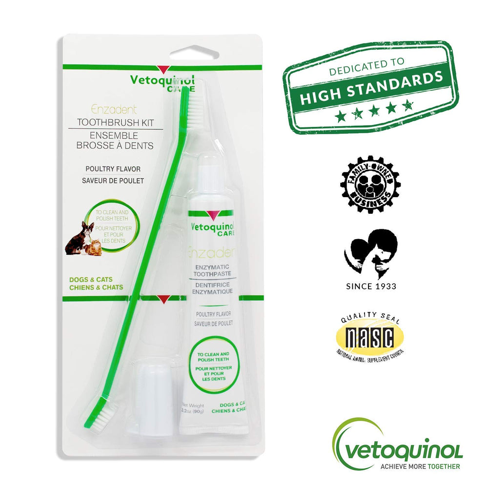 Vetoquinol Enzadent dental care set ready for daily use