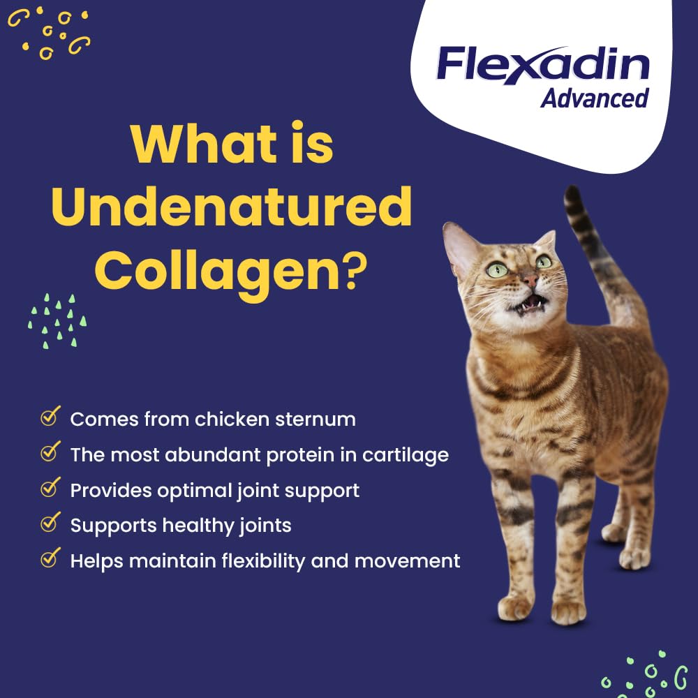 Vetoquinol Flexadin Advanced cat chew close-up promoting mobility.