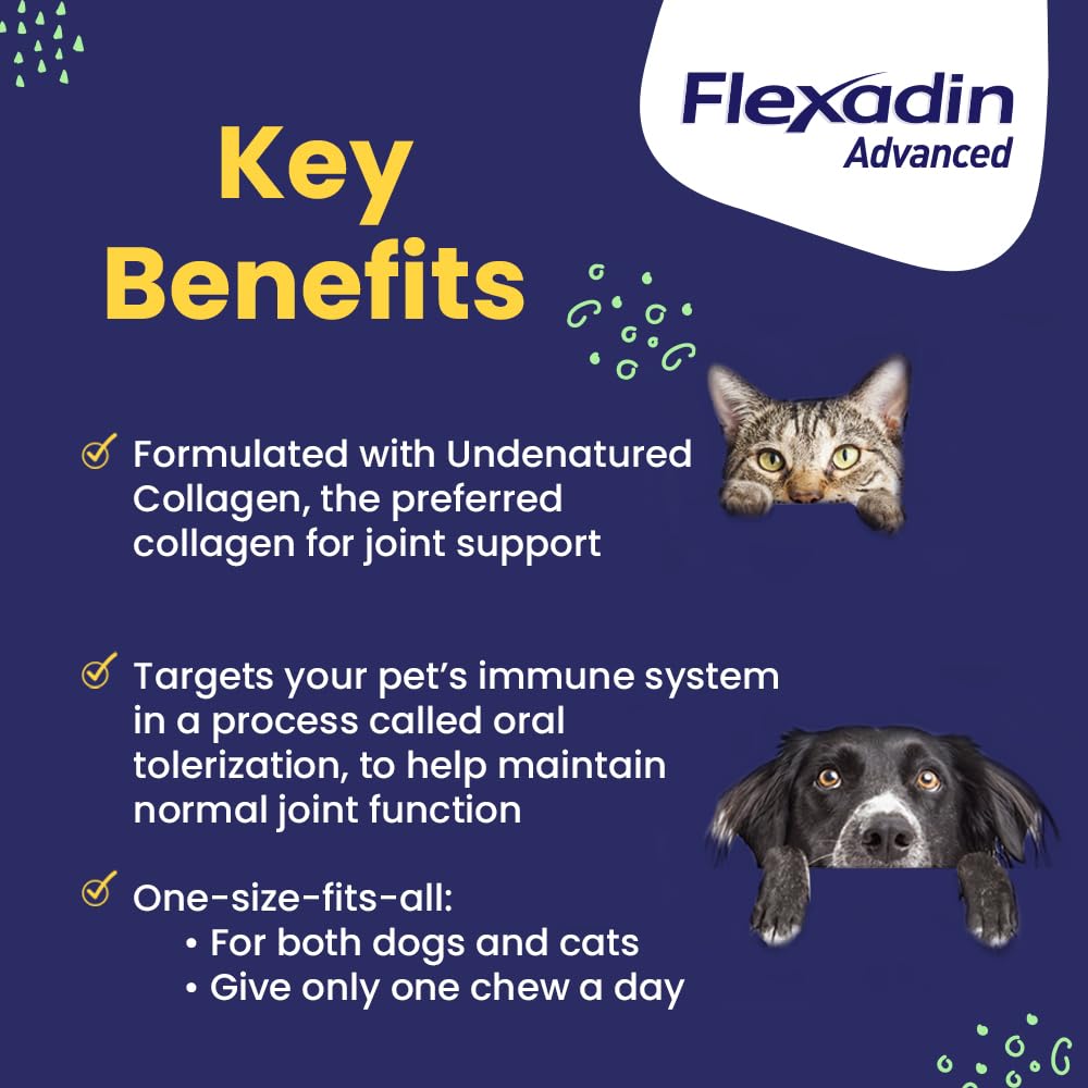 Close-up of Vetoquinol Flexadin Advanced chews highlighting joint care