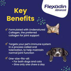 Close-up of Vetoquinol Flexadin Advanced chews highlighting joint care