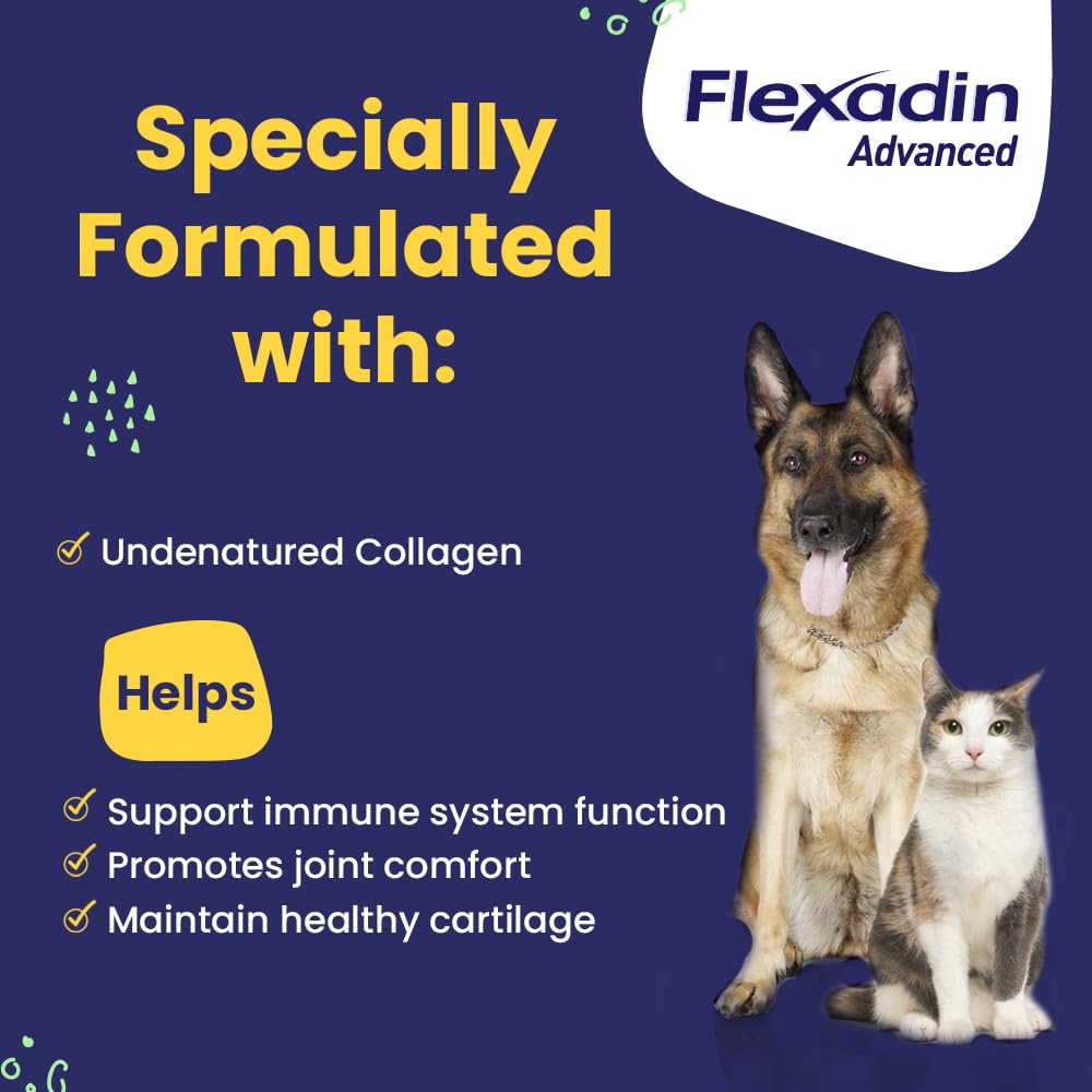 Vetoquinol Flexadin Advanced dog chew close-up ready for daily use.