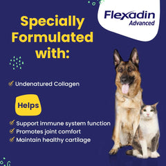 Vetoquinol Flexadin Advanced dog chew close-up ready for daily use.