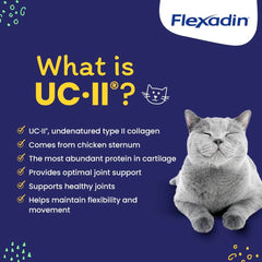 Omega-3s and vitamin E in Flexadin support connective tissues in cats