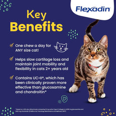 UC-II cartilage care in Vetoquinol Flexadin supports cat joints