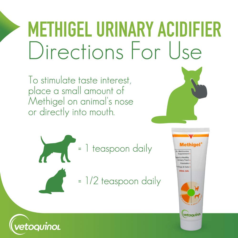 Vetoquinol Methigel bottle dispense pour demonstrates convenient dosing routine.