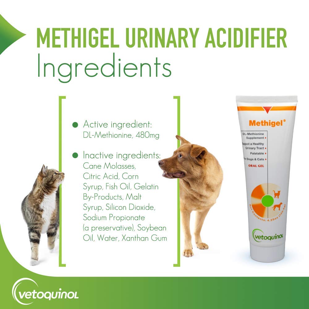 Vetoquinol Methigel flavor texture gel showcases tasty palatable formula.