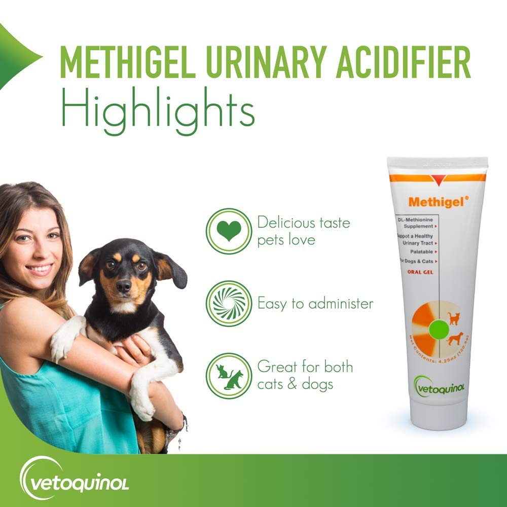 Vetoquinol Methigel label closeup highlighting ingredients and veterinarian development.