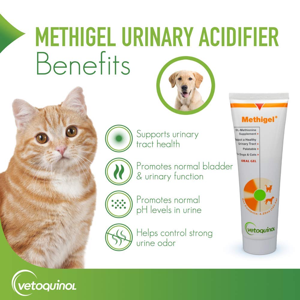 Vetoquinol Methigel oral gel dog cat application for pet friendly dosing.