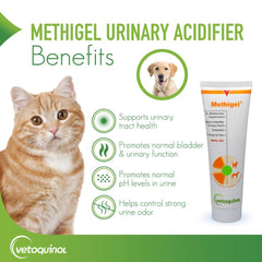 Vetoquinol Methigel oral gel dog cat application for pet friendly dosing.