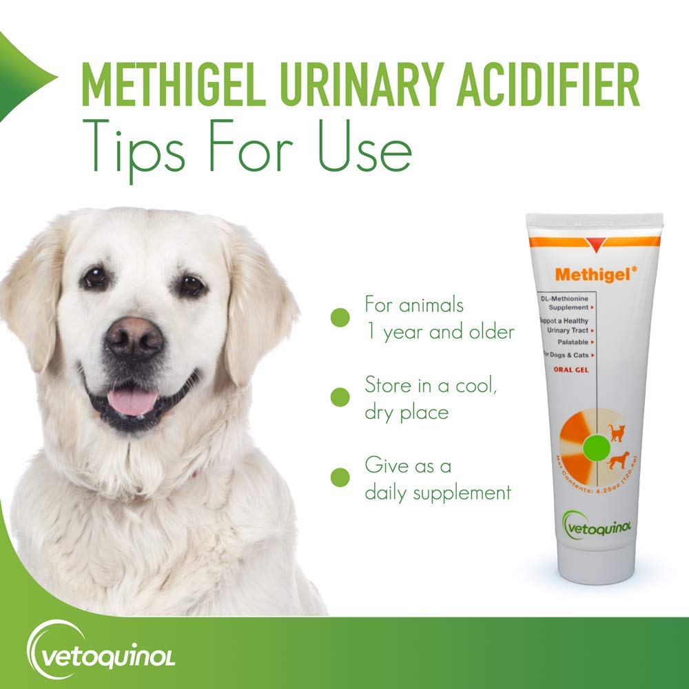 Vetoquinol Methigel packaging box on shelf signals trusted pet care.