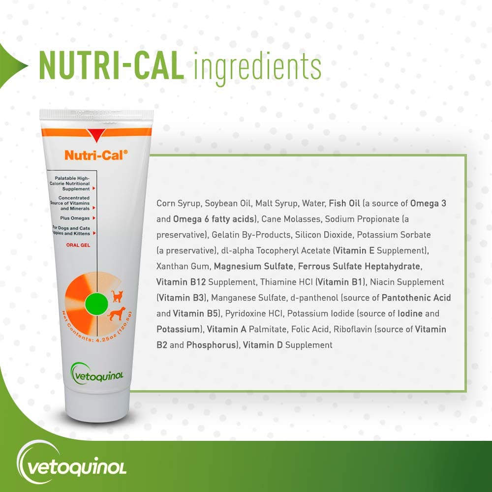 Happy dog receiving Nutri-Cal gel during mealtime.