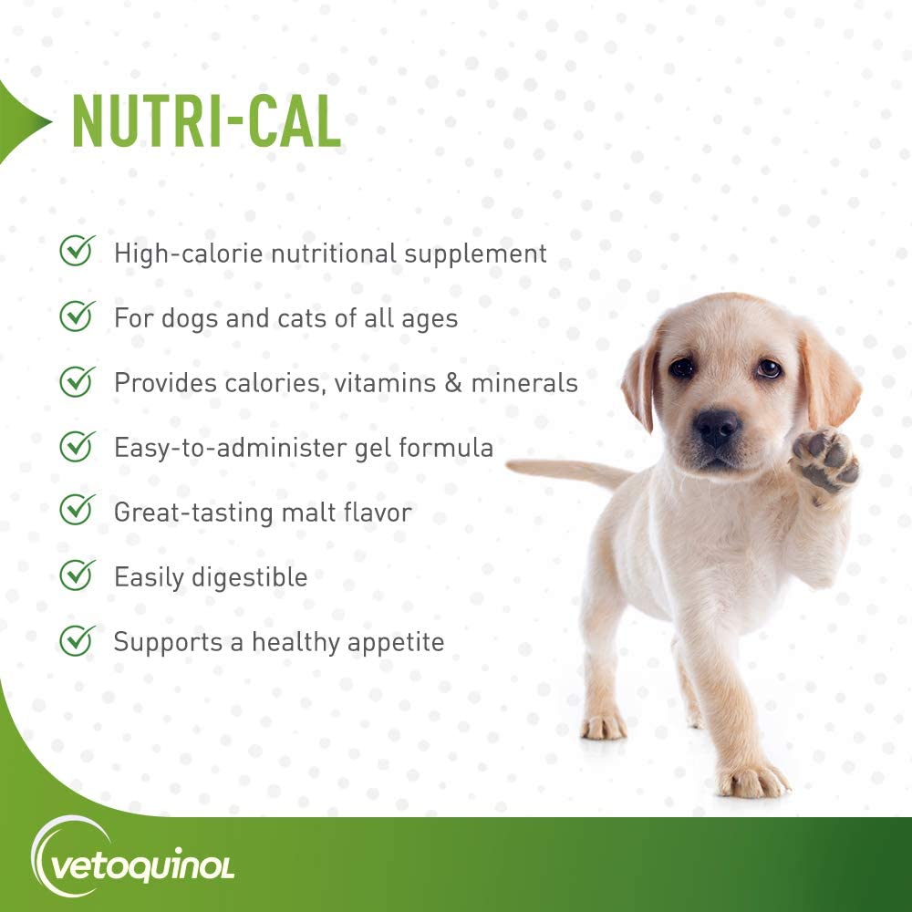 Nutri-Cal gel being served to boost calories for pets.