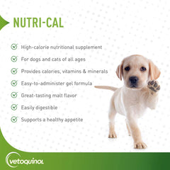 Nutri-Cal gel being served to boost calories for pets.