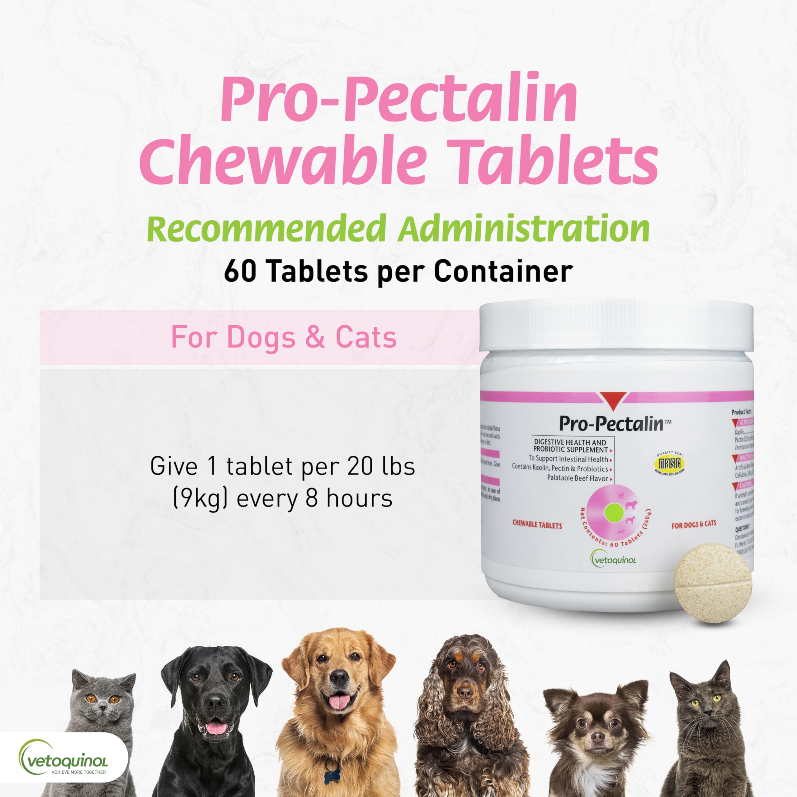 Vetoquinol Pro-Pectalin tablet given to a cat supports gentle digestive relief