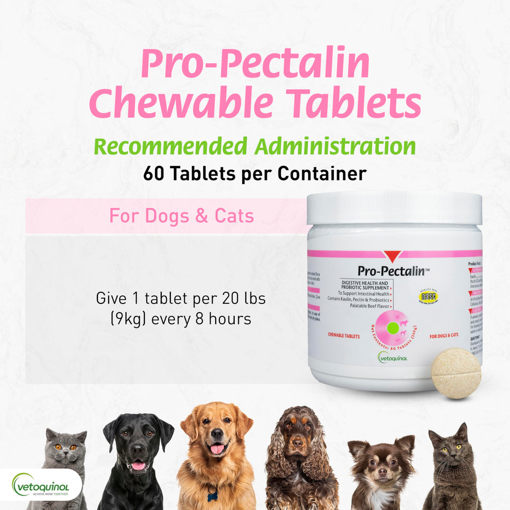 Vetoquinol Pro-Pectalin tablet given to a cat supports gentle digestive relief