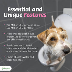 Vetoquinol Pro-Pectalin tablet offered to a dog demonstrates simple dosing