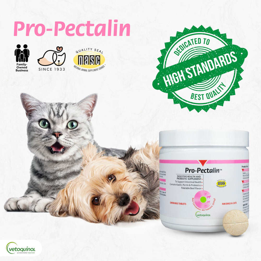 Vetoquinol Pro-Pectalin tablet served with meals eases administration