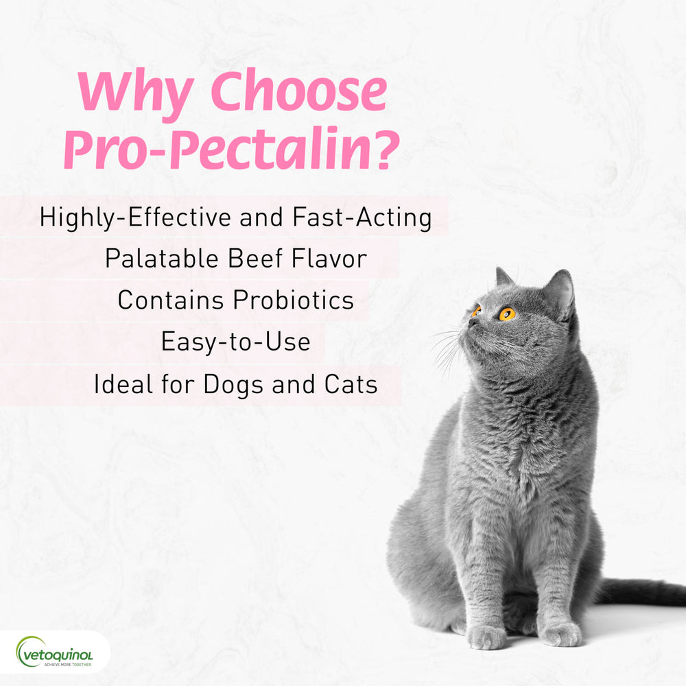 Vetoquinol Pro-Pectalin chicken-flavor tablets appealing to dogs and cats.