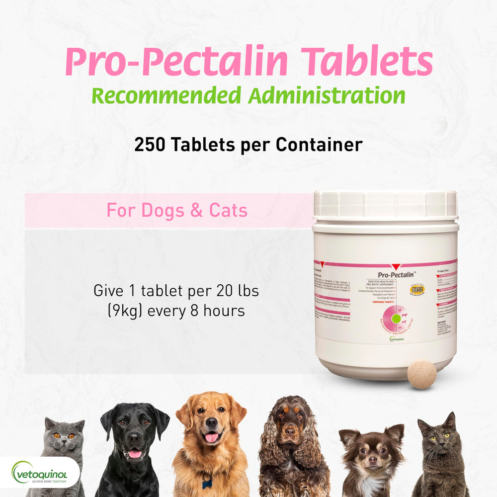 Vetoquinol Pro-Pectalin box packaging with product details visible.