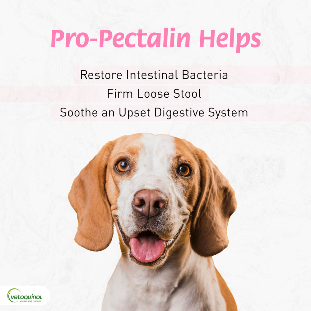 Vetoquinol Pro-Pectalin paste for cats, gentle occasional digestion support.