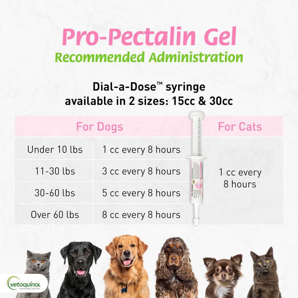 Chicken-flavored Pro-Pectalin paste to ease administration