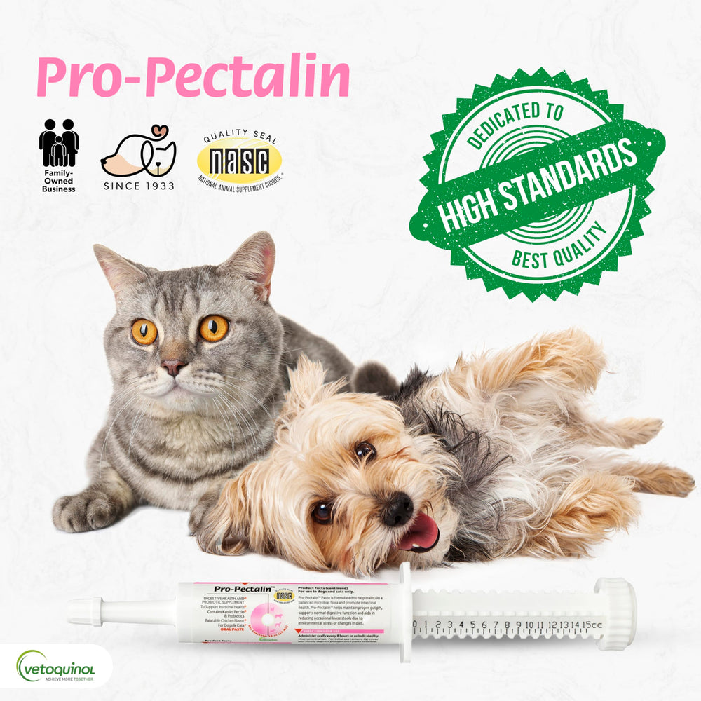 Pro-Pectalin paste demonstrating quick-relief for situational diarrhea