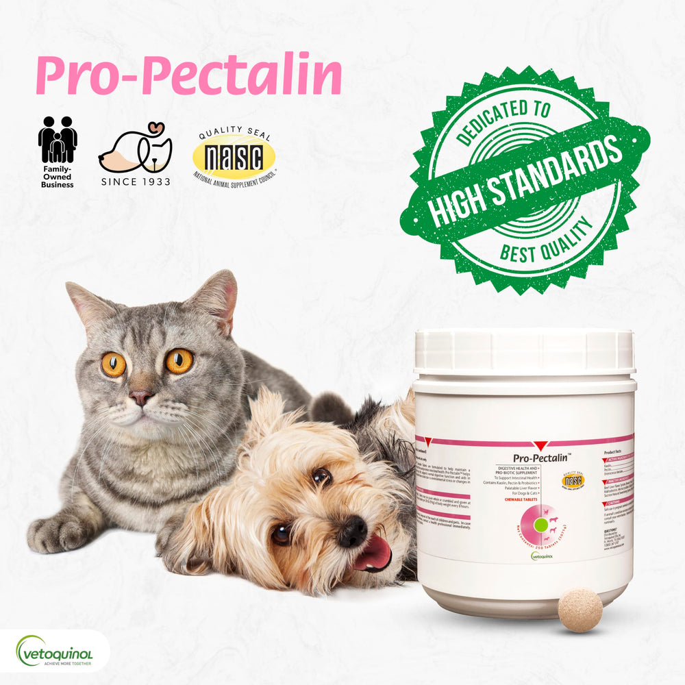 Vetoquinol Pro-Pectalin use scenario with pet during occasional upset.