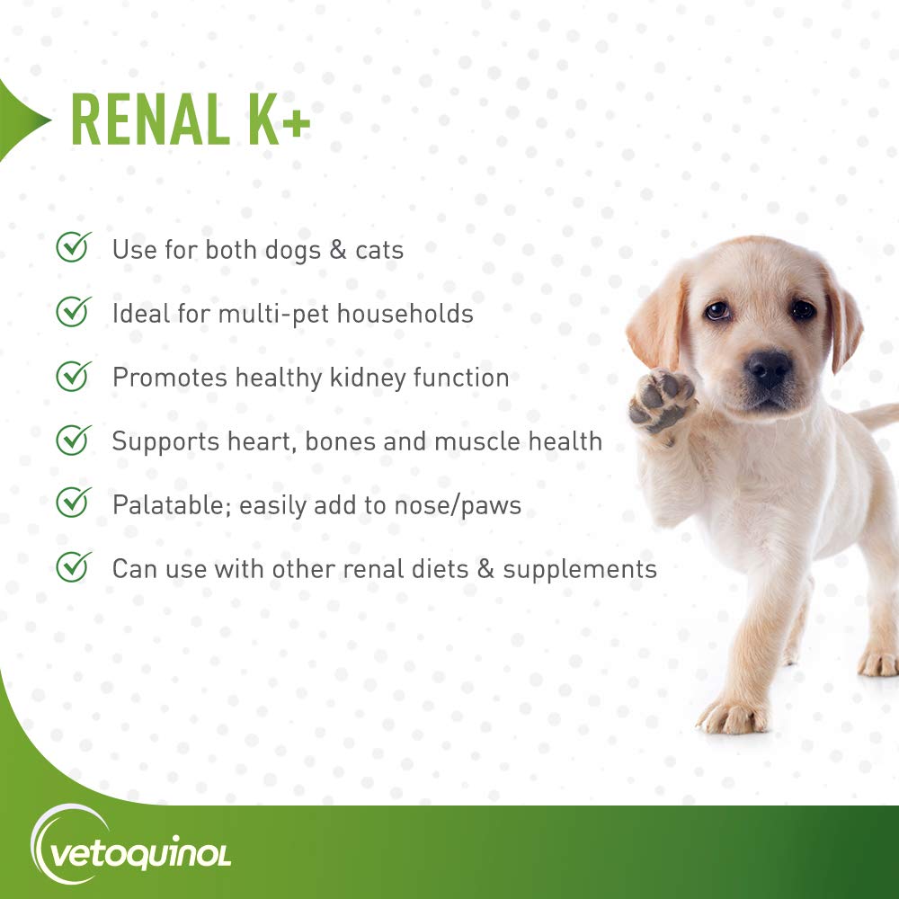 Renal K+ gel with maple flavor close-up, a pet-friendly supplementation option.