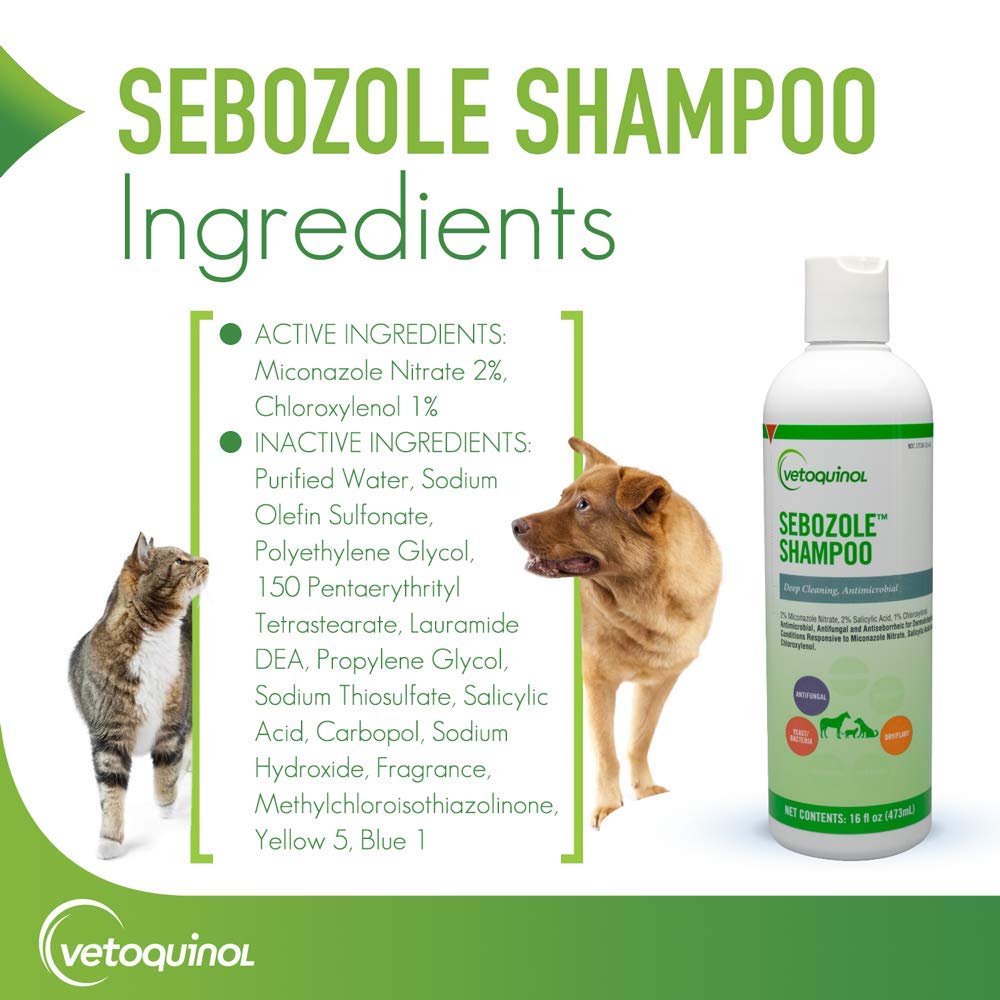Vetoquinol Sebozole shampoo being applied to a pet for thorough cleaning.