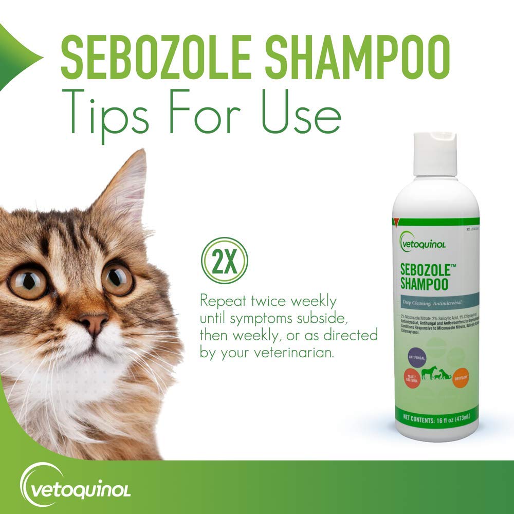 Vetoquinol Sebozole shampoo suitable for dogs cats horses during routine care.