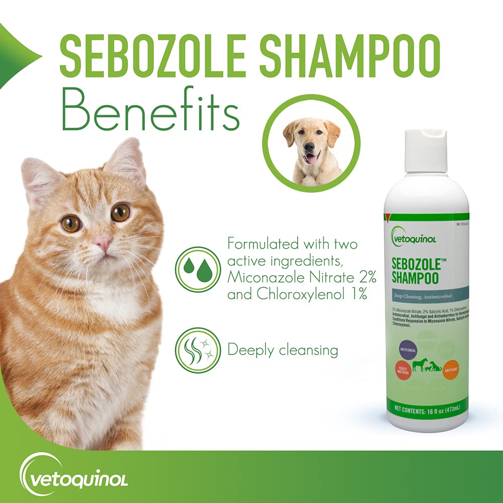 Vetoquinol Sebozole shampoo foamy lather enhances coat cleansing.