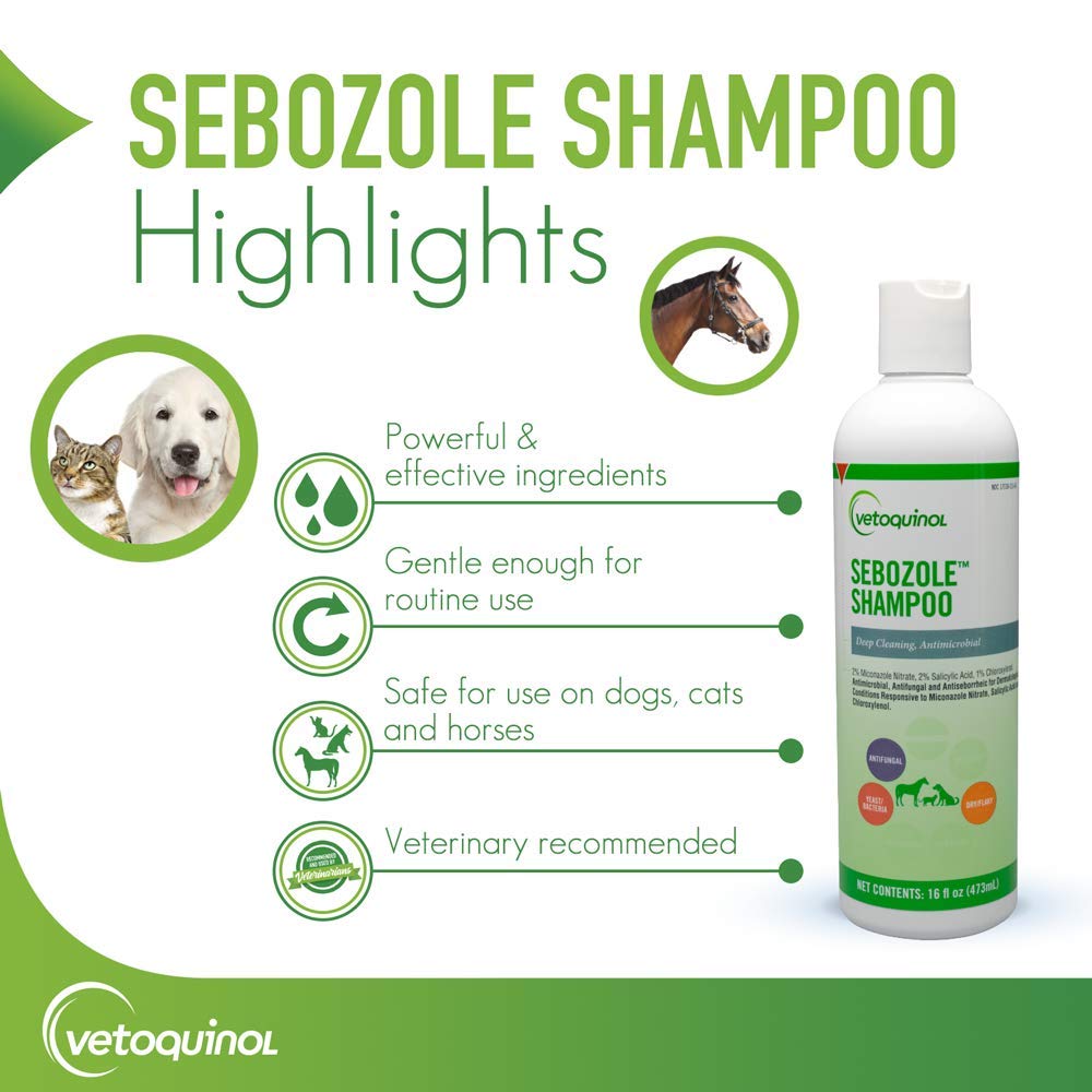 Vetoquinol Sebozole shampoo during pet bath time promotes clean coats.