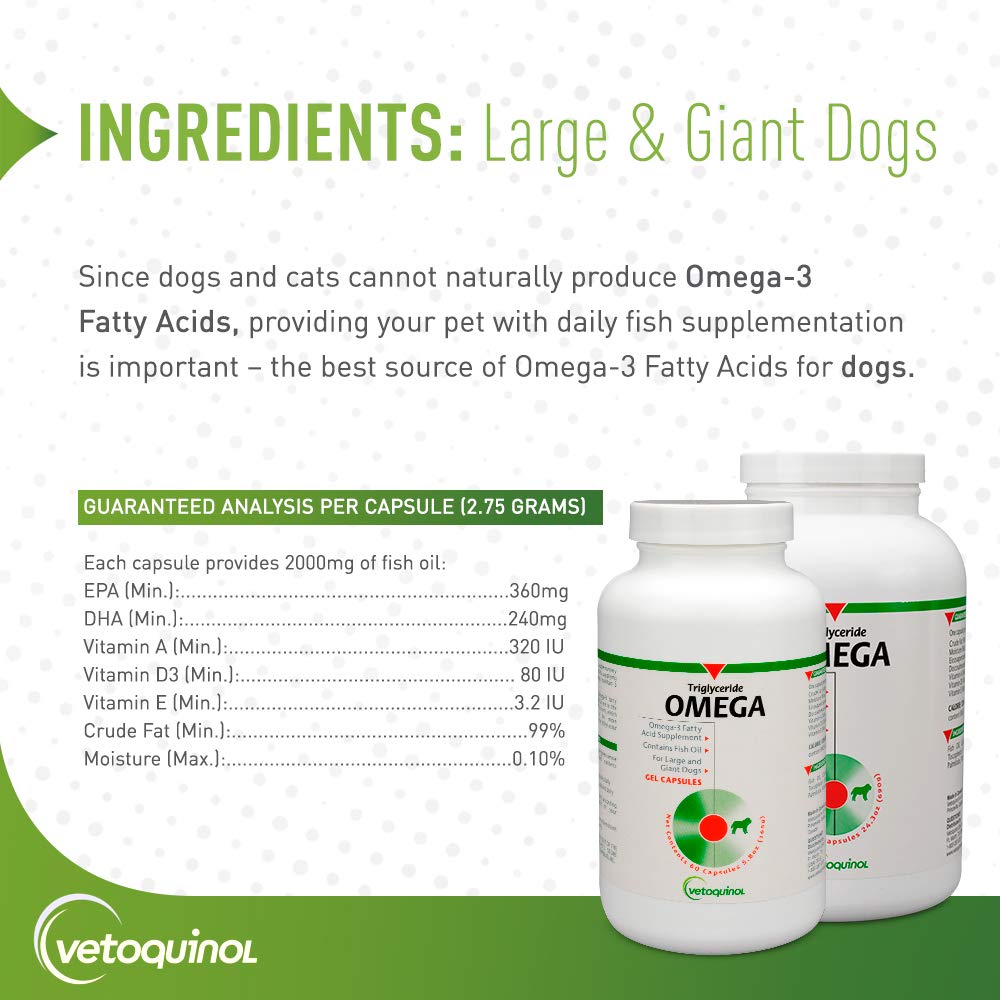 Vetoquinol Triglyceride Omega mixed into pet food for easy use.