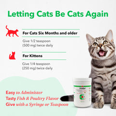 Vetoquinol Viralys cat bowl serving scene highlights convenient daily use