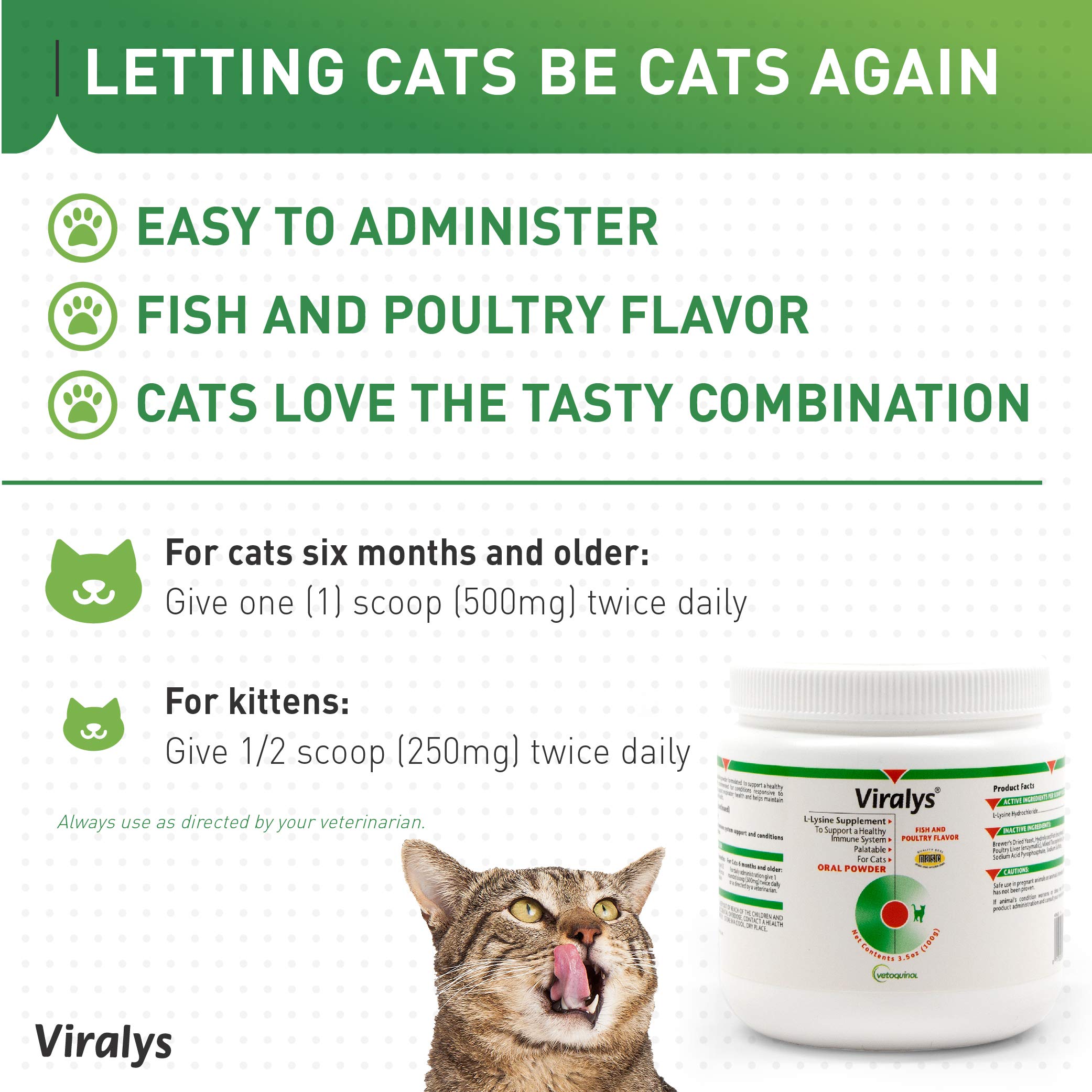 Close-up of cat eye health focus with Viralys lysine powder