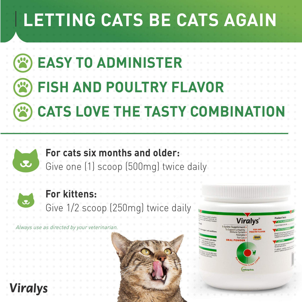 Close-up of cat eye health focus with Viralys lysine powder