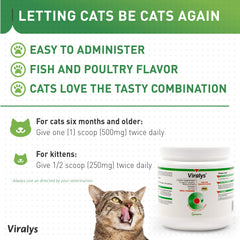 Close-up of cat eye health focus with Viralys lysine powder
