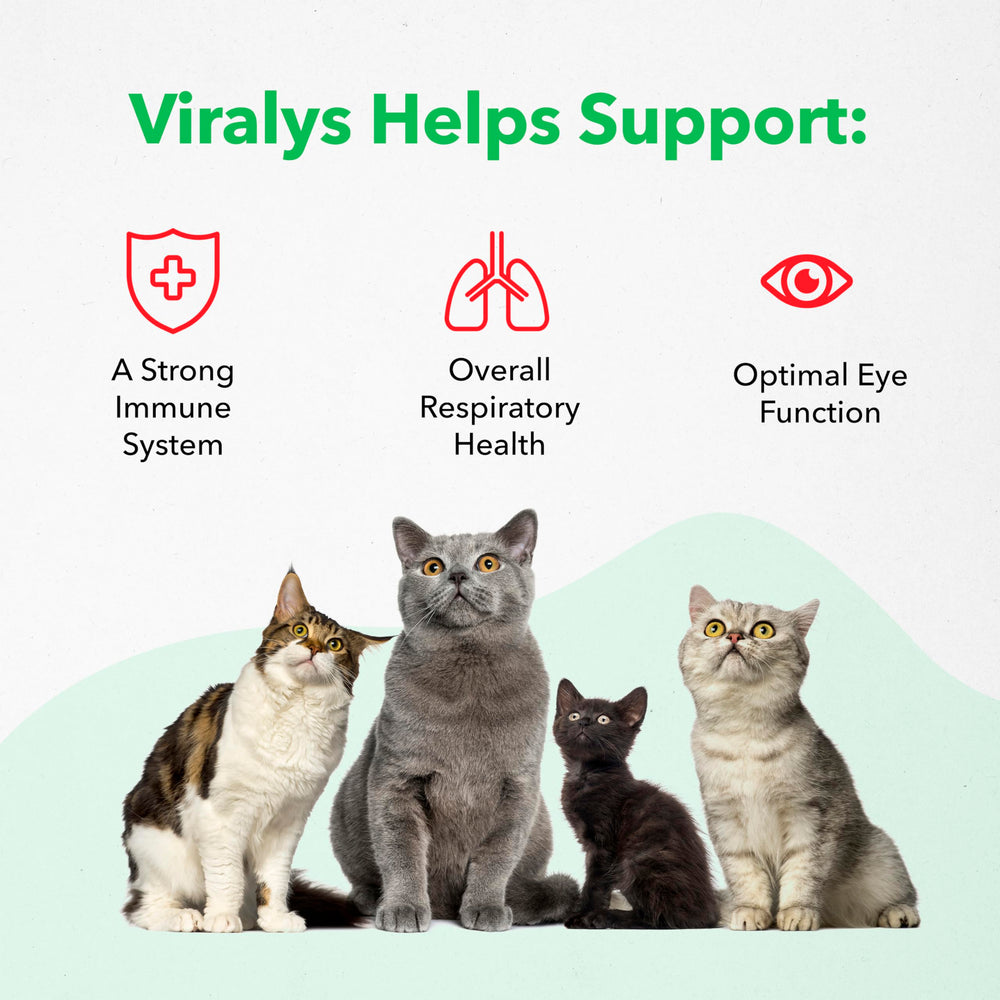 Vetoquinol Viralys supports kittens and adult cats with a versatile supplement