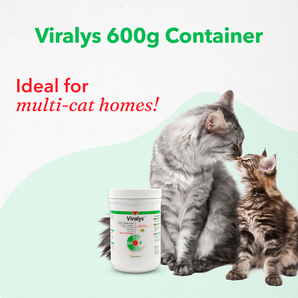 Vetoquinol Viralys fish and chicken flavored powder appeals to cats