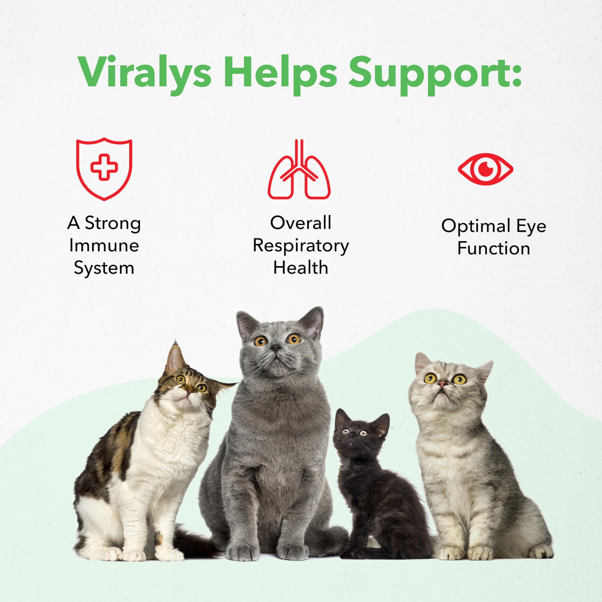 Vet-recommended Viralys lysine gel for cats and kittens.