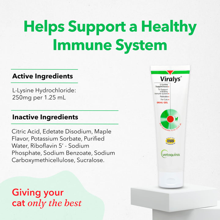 Vetoquinol Viralys maple-flavored lysine gel for kittens and cats.
