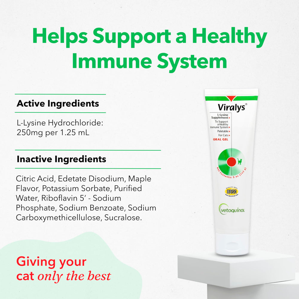 Vetoquinol Viralys maple-flavored lysine gel for kittens and cats.