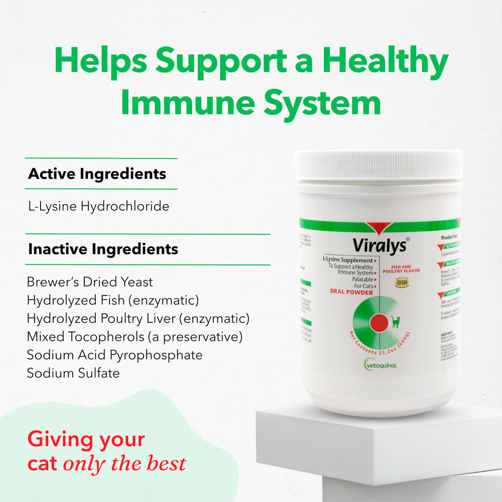 Vetoquinol Viralys measuring scoop demonstrates precise powder portioning for cats