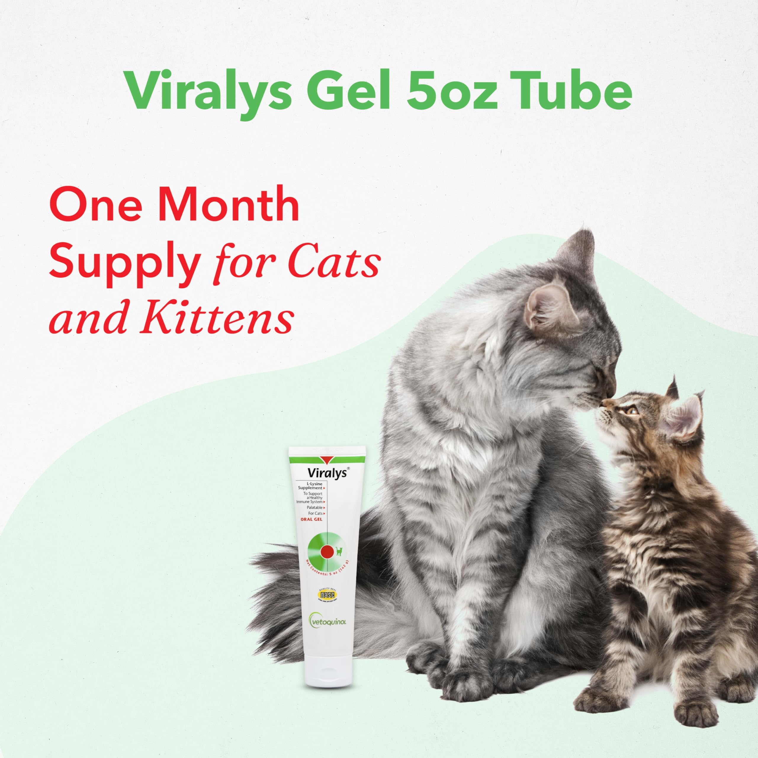 Cat with lysine gel administration as part of routine care.