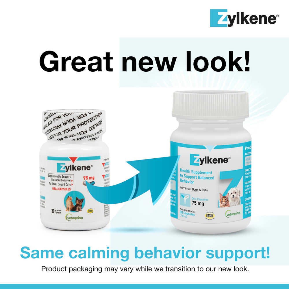 Close-up of Vetoquinol Zylkene capsule for stress coping